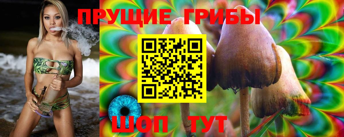Галлюциногенные грибы MAGIC MUSHROOMS Рославль